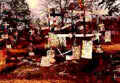 W.R. Rice Alabama cross garden environment
