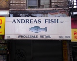 Andreas Fish