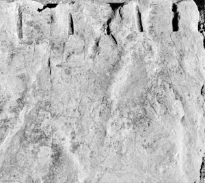 Jack and Dolores's Rock. Chicago lakefront stone carvings, between 45th Street and Hyde Park Blvd. 2018