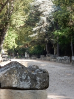 Alyscamps Cemetery, Arles