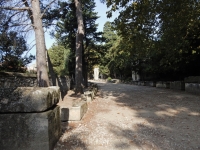 Alyscamps Cemetery, Arles