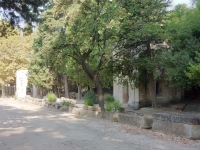 Alyscamps Cemetery, Arles