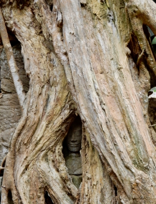 Ta Prohm, 12th-13th century, Siem Reap