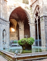 Cloister, Barcelona Cathedral