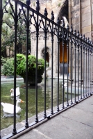 Cloister, Barcelona Cathedral