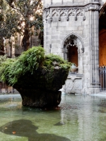 Cloister, Barcelona Cathedral
