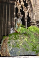 St. George in the cloister, Barcelona Cathedral