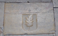 Cloister floor leaf, Barcelona Cathedral