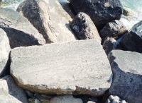 Autograph rock in context: Fred, heart with arrow and others. Lost. Chicago lakefront stone carvings between Belmont and Diversey Harbors. 2002