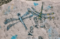 Dragonflies. Lost.  Chicago lakefront stone paintings, between Belmont and Diversey Harbors. 2002