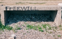 Freewill. Lost. Chicago lakefront stone paintings, between Belmont and Diversey Harbors. 2002