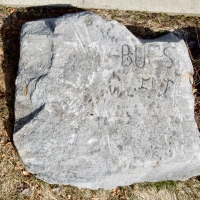 Bugs, E65T, AW. Chicago lakefront stone carvings, between Belmont and Diversey Harbors. 2020