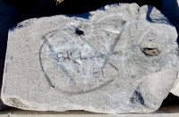 Geometric image, Bill. A., ED. Chicago lakefront stone drawings, between Belmont and Diversey Harbors. 2019