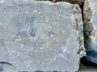 Cross on a pedestal. Chicago lakefront stone carvings, Diversey Harbor. 2024