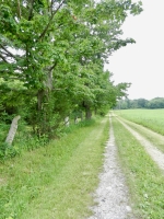 The long driveway to D. Bill\'s place The long driveway to D. Bill\'s place