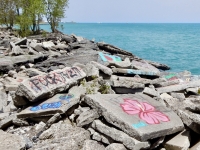 Ad hoc picture gallery. Chicago lakefront paintings, Northerly Island. 2019