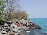 Octopus and graffiti. Chicago lakefront paintings, Northerly Island. 2019