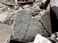 Luis, others. Chicago lakefront stone carvings, Northerly Island. 2019