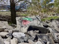 Strawberry. Chicago lakefront paintings, Northerly Island. 2019