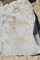 DW, Bob, others. Chicago lakefront stone carvings, Oakwood Beach. 2021