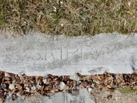 Skippy. Chicago lakefront stone carvings, Calumet Park. 2019 Skippy. Chicago lakefront stone carvings, Calumet Park. 2019