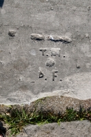 T.M. + D.F. Chicago lakefront stone carvings, Calumet Park. 2020