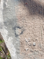 MD, Lena 4 Tom. Chicago lakefront stone carvings, Calumet Park. 2019 MD, Lena 4 Tom. Chicago lakefront stone carvings, Calumet Park. 2019
