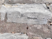 T.B. Chicago lakefront stone carvings, Calumet Park. 2024