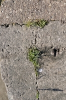 Mark, Bill. Chicago lakefront stone carvings, Calumet Park. 2020