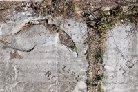 I, Jab(ber?), WE, R.G., ZLFZ, JB. Chicago lakefront stone carvings, Calumet Park. 2020 I, Jab(ber?), WE, R.G., ZLFZ, JB. Chicago lakefront stone carvings, Calumet Park. 2020