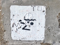 Tom, Peace symbol, Mark, Peanut, Jim, FI, P, others. Chicago lakefront stone carvings, Calumet Park. 2024 Tom, Peace symbol, Mark, Peanut, Jim, FI, P, others. Chicago lakefront stone carvings, Calumet Park. 2024