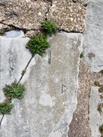 M, D. Chicago lakefront stone carvings, Calumet Park. 2019 M, D. Chicago lakefront stone carvings, Calumet Park. 2019
