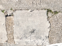Earl, Ann, MP, BRU + AL, A, Mina, Fidi. Chicago lakefront stone carvings, Calumet Park. 2024 Earl, Ann, MP, BRU + AL, A, Mina, Fidi. Chicago lakefront stone carvings, Calumet Park. 2024