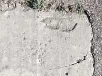 Heart with DS and thick arrow, The Kid, TM, CH. Chicago lakefront stone carvings, Calumet Park. 2024 Heart with DS and thick arrow, The Kid, TM, CH. Chicago lakefront stone carvings, Calumet Park. 2024