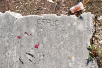 Flower. Chicago lakefront stone carvings, Calumet Park. 2020