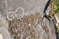 Ed Peterson. Chicago lakefront stone carvings, Calumet Park. 2020