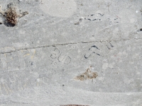 Bud \'78, ER ???. Chicago lakefront stone carvings, Calumet Park. 2019