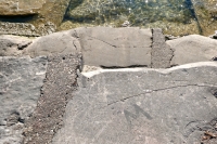 Bird. Chicago lakefront stone carvings, Calumet Park. 2019