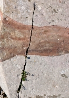 CA + LL 71.  Chicago lakefront stone carvings, Calumet Park. 2020