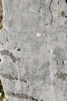 Don + DAR. Chicago lakefront stone carvings, Calumet Park. 2019