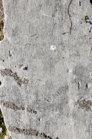 Mendoza, FF. Chicago lakefront stone carvings, Calumet Park. 2020
