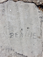 Steve. Chicago lakefront stone carvings, Calumet Park. 2019