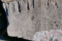G, flower. Chicago lakefront stone carvings, Calumet Park. 2020