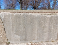 Bird (vertical). Chicago lakefront stone carvings, Calumet Park. 2019