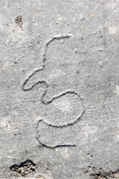 Profile, detail. Chicago lakefront stone carvings, Calumet Park. 2020
