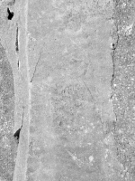 Fran \"88.\" Chicago lakefront stone carvings, Calumet Park. 2019