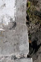 Bill + Carol. Chicago lakefront stone carvings, Calumet Park. 2020