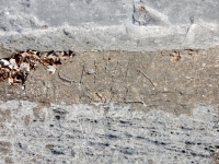 Chink Ashe. Chicago lakefront stone carvings, Calumet Park. 2019 Chink Ashe. Chicago lakefront stone carvings, Calumet Park. 2019