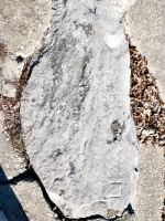 Z 1993, Liz. Chicago lakefront stone carvings, Calumet Park. 2024 Z 1993, Liz. Chicago lakefront stone carvings, Calumet Park. 2024