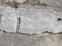 Frog, Tom 66, SAI, OT. Chicago lakefront stone carvings, Calumet Park. 2024 Frog, Tom 66, SAI, OT. Chicago lakefront stone carvings, Calumet Park. 2024